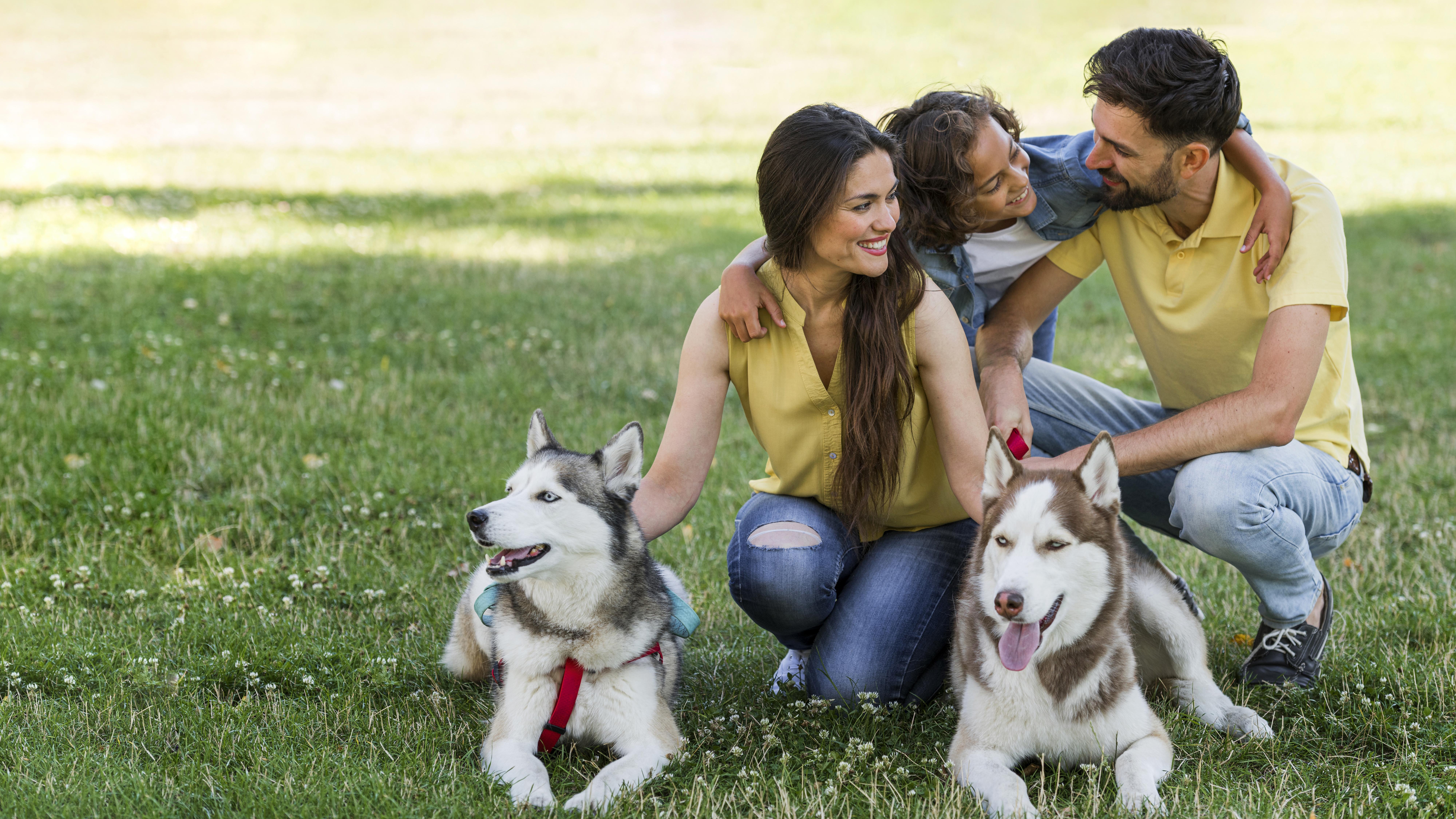 Casi un 30% de los dueños reconocen no tener asegurado a su perro 
